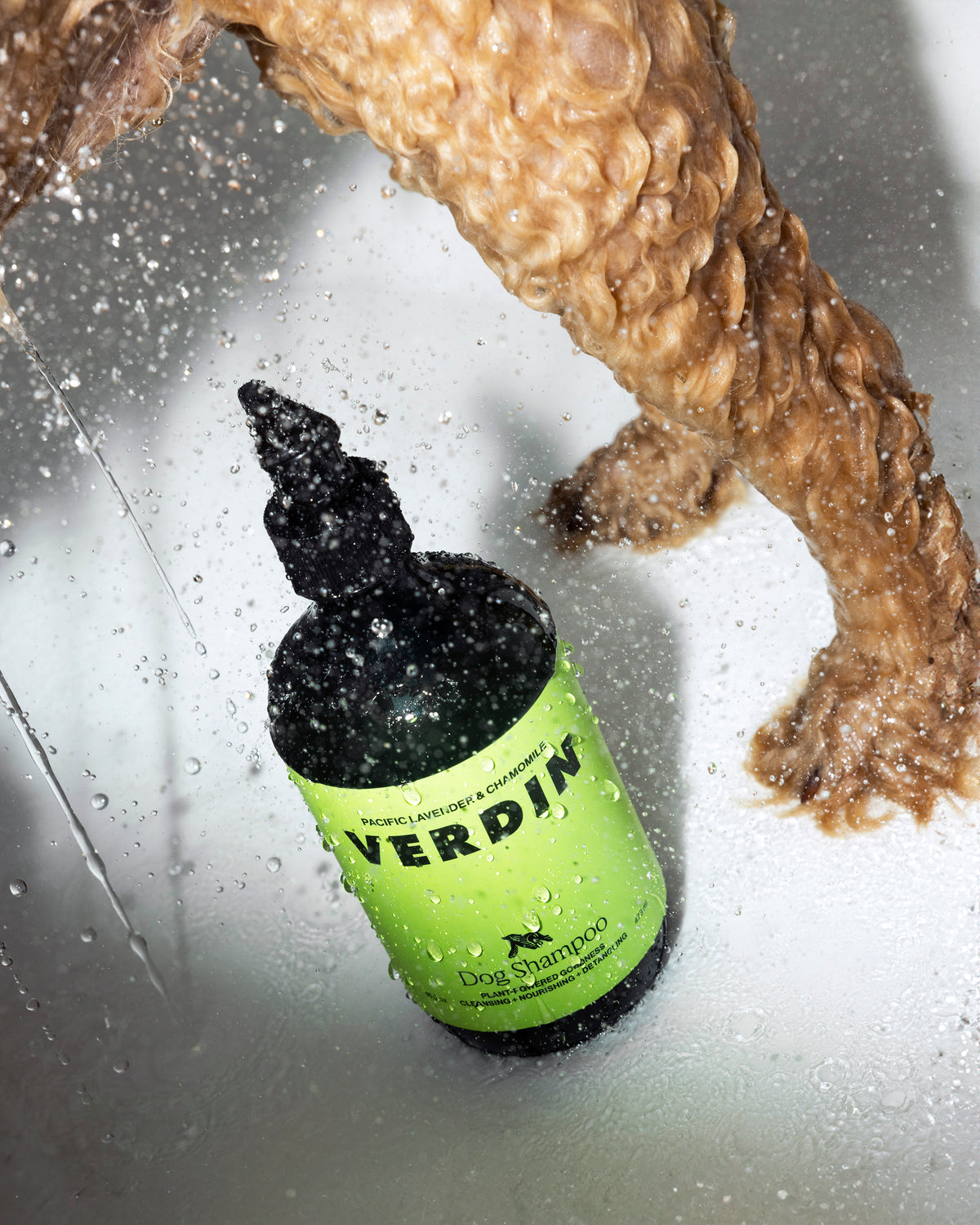 Photo image of Verdin Dog Shampoo in action in the shower with a dog