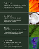 Illustration of key ingredients for Verdin Dog Care Products