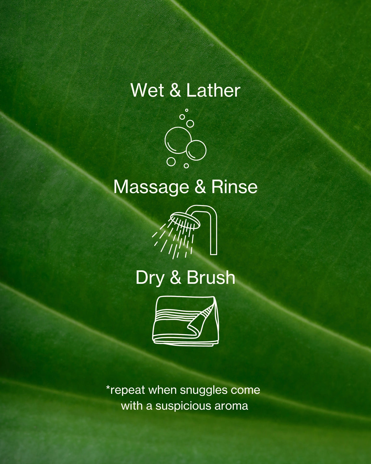 Photo Montage and Illustration of Verdin Dog Shampoo Benefits as a Text Overlay On a Green Leaf with Instructions for How To Wash Your Dog
