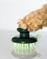 Photo image of a dog's paw on a dog shampoo massage brush for Verdin Dog Shampoo