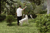 Photo Image of a Man With His Dog Outside Playing.